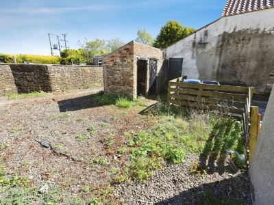 Picture 12